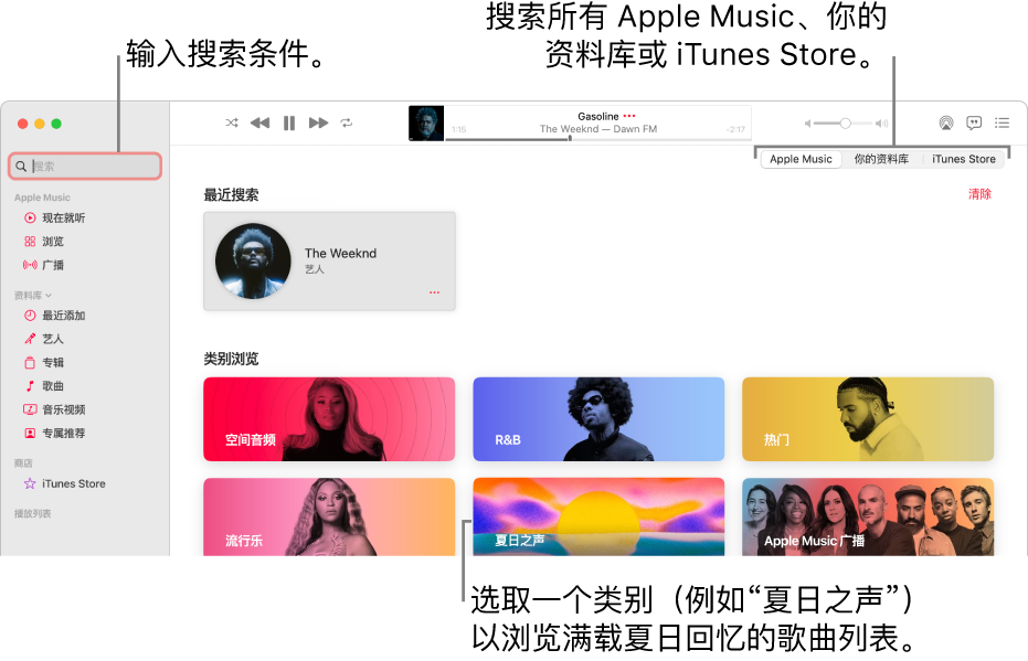 Apple Music 窗口的左上角显示搜索栏，窗口中间是类别列表，右上角显示“Apple Music”、“你的资料库”和可用的 iTunes Store。在搜索栏中输入搜索条件，然后选取是搜索所有 Apple Music、仅搜索你的资料库还是搜索 iTunes Store。