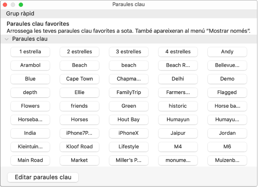 Paraules clau a la finestra del gestor de paraules clau, amb la zona “Grup ràpid” a la part superior i el botó “Editar paraules clau” a la part inferior esquerra.