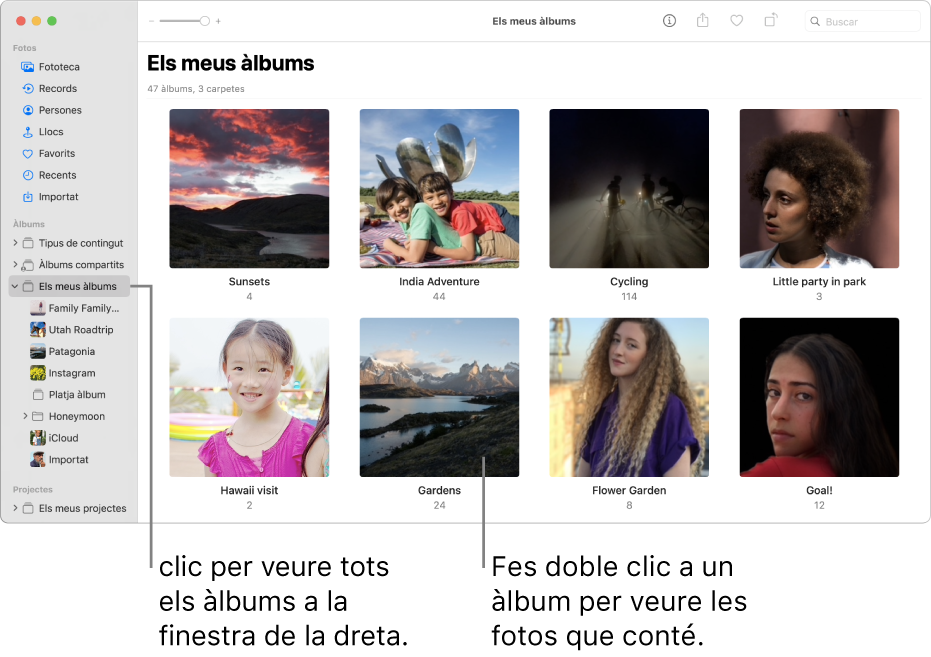 La finestra de l’app Fotos, que mostra “Els meus àlbums” seleccionat a la barra lateral i els àlbums que has creat, a la finestra a la dreta.