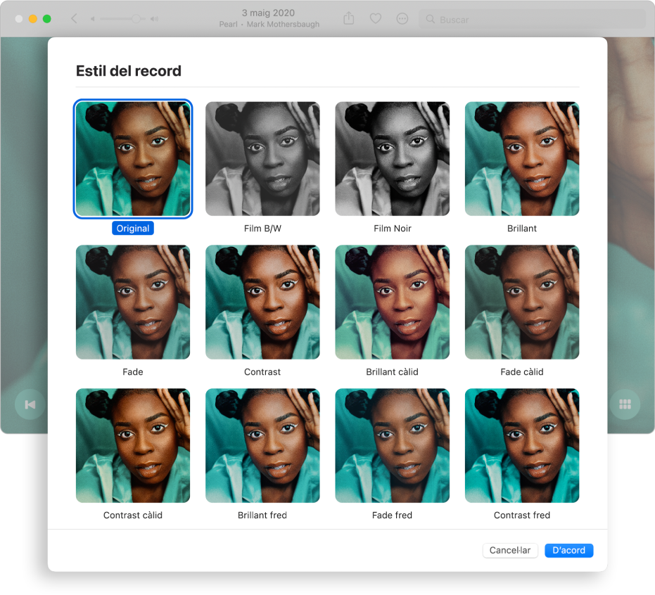 Finestra de l’app Fotos en què es veuen diversos estils que es poden aplicar als ítems d’un record.