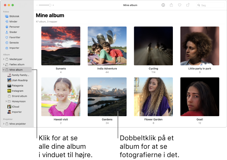 Vinduet Fotos med Mine album valgt i indholdsoversigten og de album, du har oprettet, vist i vinduet til højre.