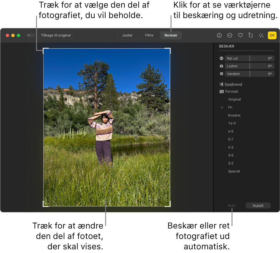 Et foto i redigeringsoversigt med Beskær valgt på værktøjslinjen med et vælgerektangel omkring fotoet og mærker til udretning, indstillinger til billedformat og knapperne Auto og Nulstil til højre.