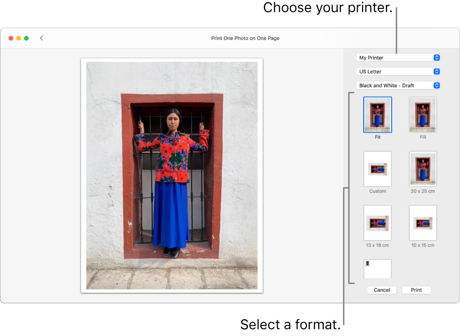 A window for selecting print options, with a print preview area on the left and print options on the right.