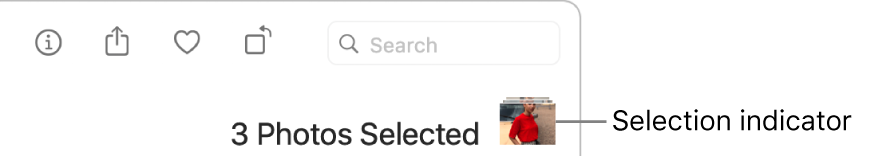 A selection indicator showing that three photos are selected.