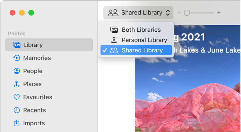 The Library pop-up menu in the toolbar set to Shared Library.