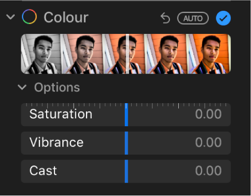 The Colour area of the Adjust pane showing sliders for Saturation, Vibrance and Cast.