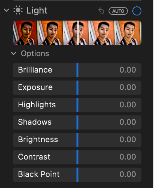 The Light area of the Adjust pane showing sliders for Brilliance, Exposure, Highlights, Shadows, Brightness, Contrast, and Black Point.
