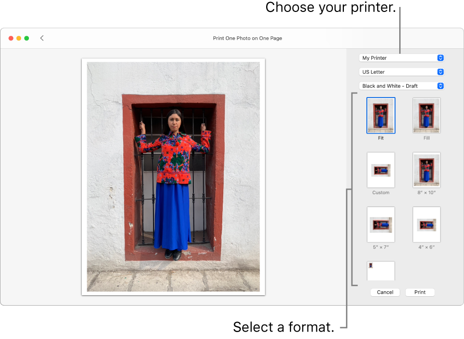 A window for selecting print options, with a print preview area on the left and print options on the right.