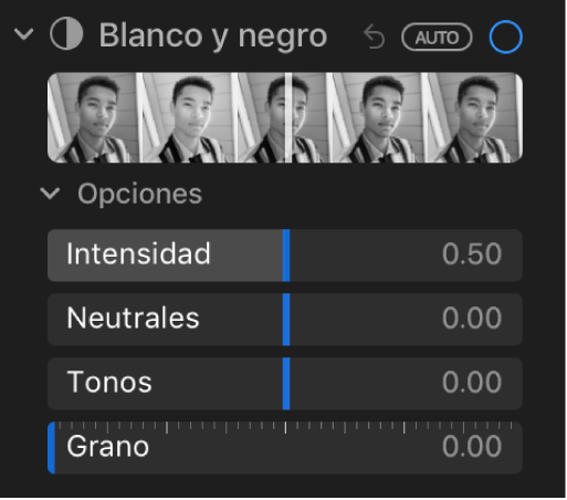 El área Blanco y negro del panel Ajustar mostrando los reguladores de Intensidad, Neutrales, Tono y Grano.