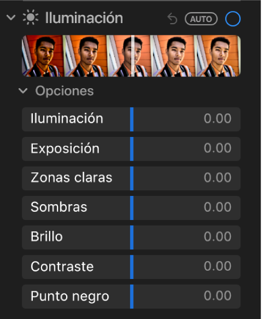 El área Luz del panel Ajustar mostrando los reguladores de Luminosidad, Exposición, Zonas claras, Sombras, Brillo, Contraste y Punto negro.
