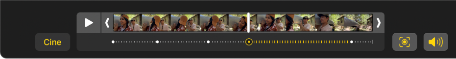 Un visor de fotogramas que muestra los fotogramas de vídeo en modo Cine con un botón Cine a la izquierda y un botón Audio a la derecha.