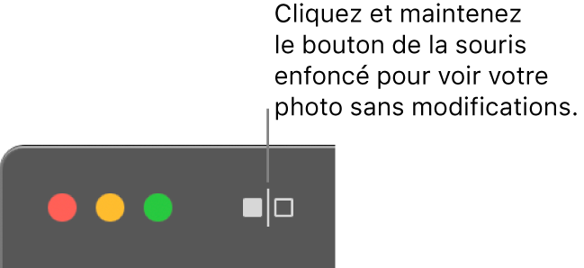 Le bouton Sans ajustement, à côté des commandes de la fenêtre dans le coin supérieur gauche de la fenêtre.