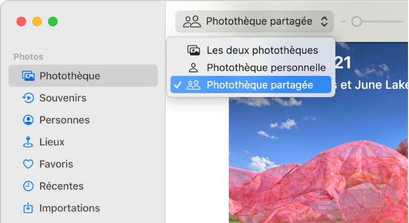 Le menu contextuel Photothèque dans la barre d’outils défini en tant que Photothèque partagée.