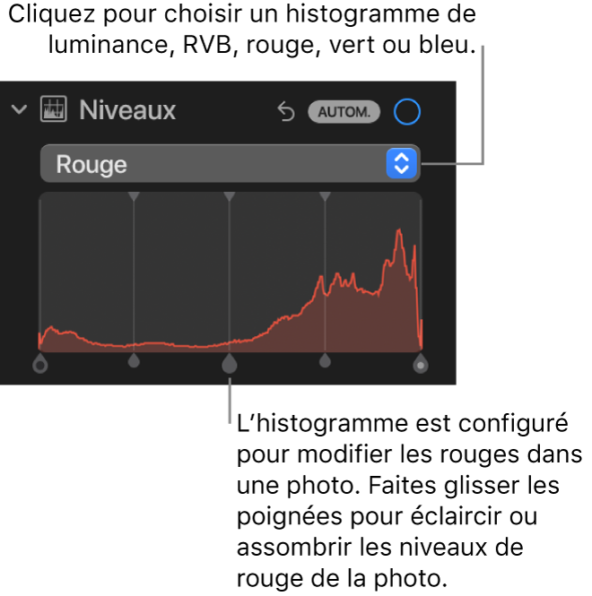 Les commandes Niveaux dans la sous-fenêtre Ajuster, montrant l’histogramme Rouge au-dessus de poignées, permettant d’ajuster les niveaux de rouge de la photo.