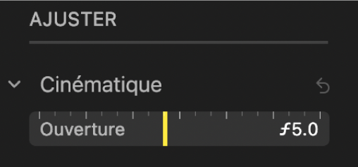 Les commandes du réglage Cinématique montrant le curseur Profondeur.