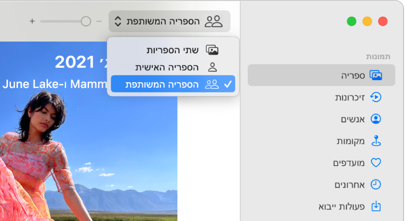 התפריט הקופצני ״ספריה” בסרגל הכלים מוגדר להצגת “הספריה המשותפת״.