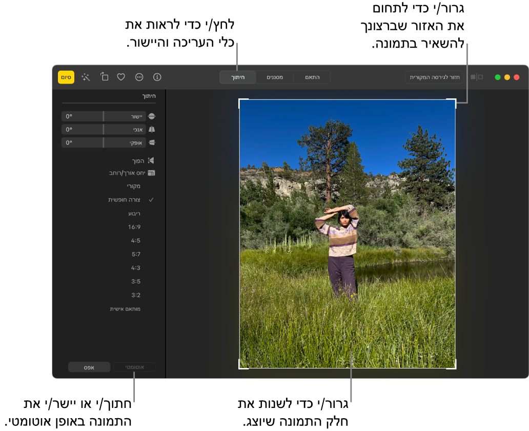 תמונה בתצוגת עריכה כאשר אפשרות החיתוך נבחרת בסרגל הכלים, מלבן בחירה מקיף את התמונה ומחוונים ליישור, אפשרויות עבור יחס גובה-רוחב והכפתורים ״אוטומטי״ ו”איפוס” משמאל.