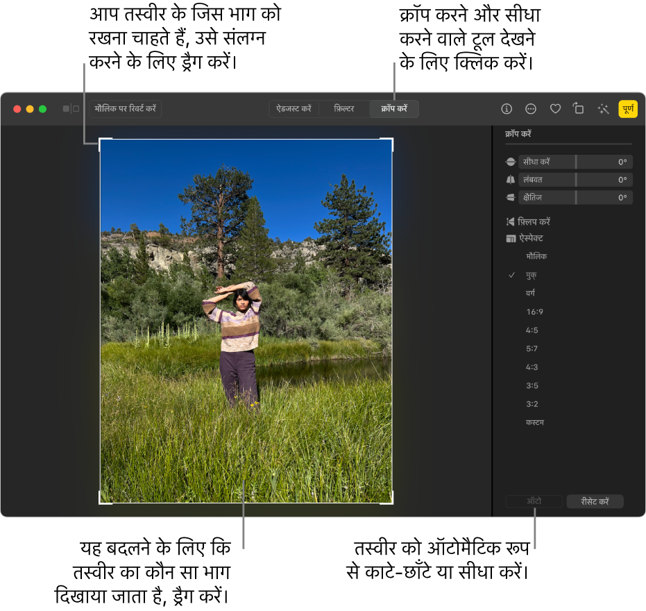 टूलबार में क्रॉप करें चयन, तस्वीर के चारों ओर आयताकार चयन और स्ट्रेटनिंग स्लाइडर, ऐस्पेक्ट रेशियो विकल्प और दाईं ओर ऑटो और रीसेट बटन के साथ संपादन दृश्य में तस्वीर।