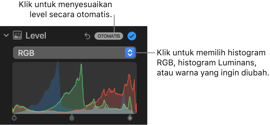 Kontrol Level di panel Sesuaikan, dengan dan tombol Otomatis di kanan atas serta histogram RGB di bawah.