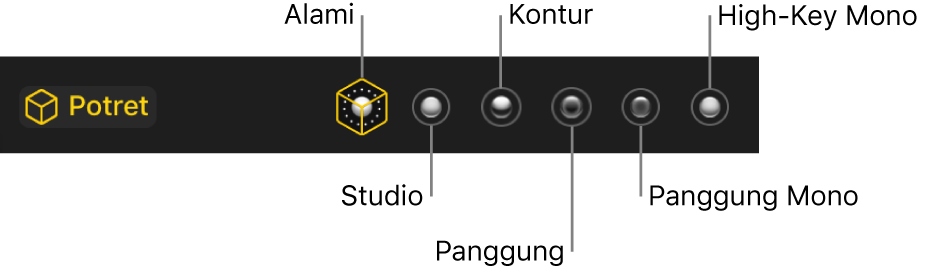 Pilihan efek pencahayaan mode potret, termasuk (dari kiri ke kanan) Alami, Studio, Kontur, Panggung, Panggung Mono, High-Key Mono.
