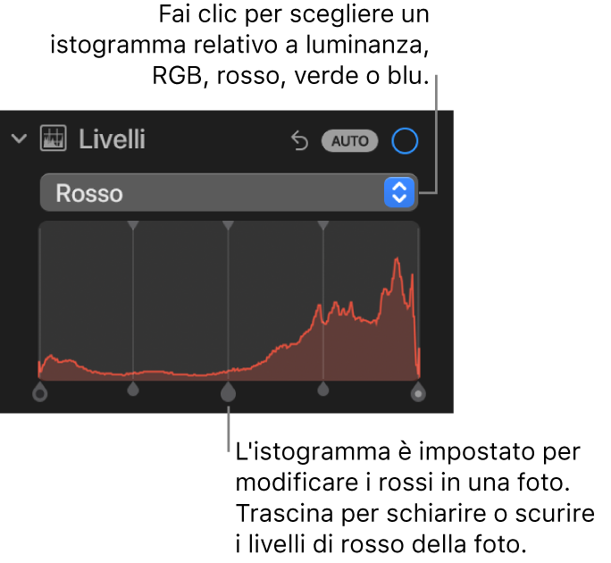 I controlli di Livelli nel pannello Regola, che mostrano l'istogramma Rosso con le maniglie al di sotto per regolare i livelli di rosso della foto.