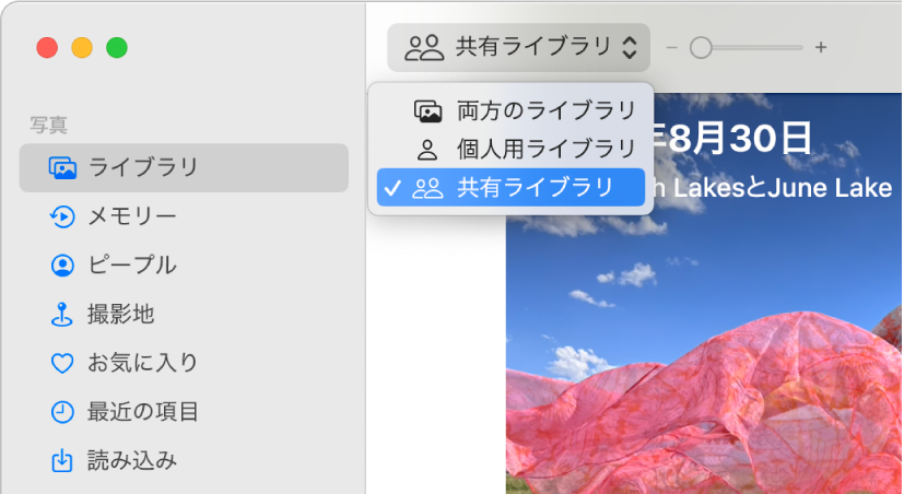 ツールバーの「ライブラリ」ポップアップメニューが「共有ライブラリ」に設定されています。