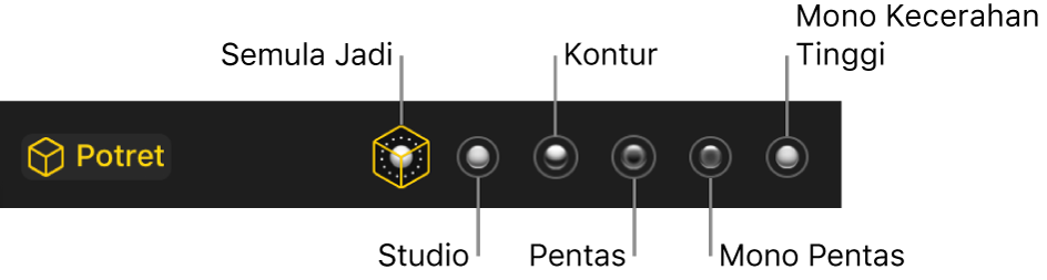 Pilihan kesan pencahayaan mod Potret, termasuk (dari kiri ke kanan) Semula Jadi, Studio, Kontur, Pentas, Pentas Mono dan Mono Kecerahan Tinggi.