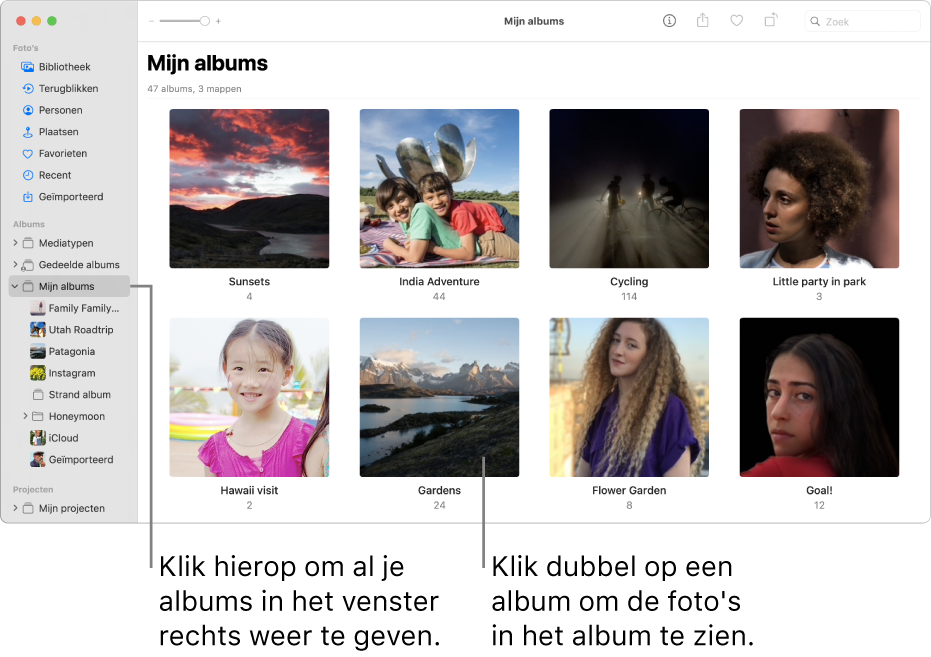 Het Foto's-venster met 'Mijn albums' geselecteerd in de navigatiekolom en de albums die je hebt aangemaakt in het venster aan de rechterkant.