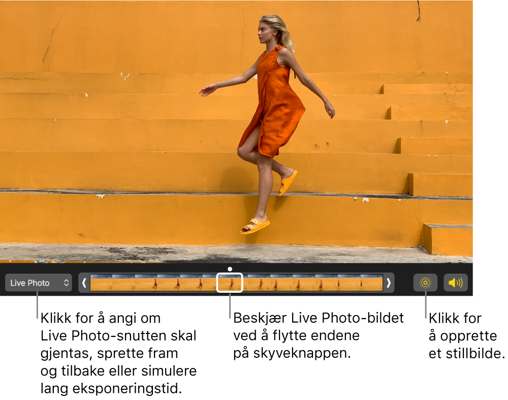 Et Live Photo-bilde i redigeringsvisning med en skyveknapp under som viser bildene i bildet. Live Photo-knappen og Høyttaler-knappen er til venstre for skyveknappen, og til høyre er det en lokalmeny du kan bruke til å legge til en sløyfe-, fram og tilbake- eller lang eksponering-effekt.