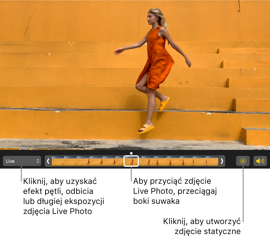 Zdjęcie Live Photo w widoku edycji z widocznym poniżej suwakiem zawierającym klatki zdjęcia. Przyciski Live Photo oraz Głośnik znajdują się po lewej stronie suwaka, natomiast po prawej stronie jest menu, którego możesz użyć do wybrania efektu pętli, odbicia lub długiej ekspozycji.