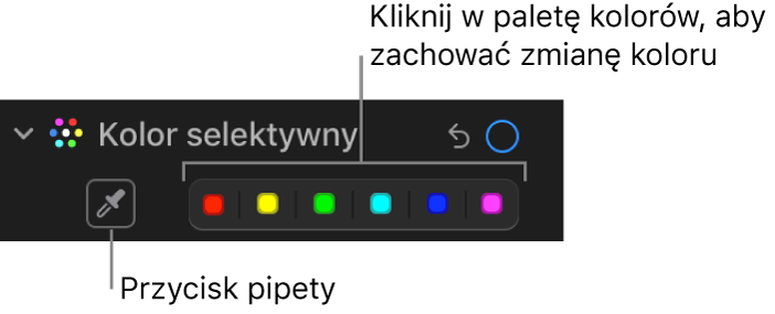 Narzędzia pod etykietą Kolor selektywny w panelu Korekta. Widoczny jest przycisk zakraplacza oraz pola koloru.
