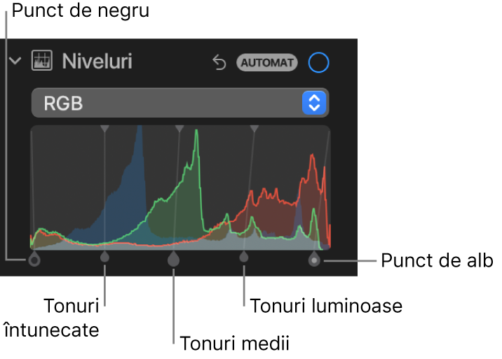 Comenzile Niveluri în panoul Ajustare, afișând histograma RGB cu mânerele dedesubt, inclusiv (de la stânga la dreapta) punctul de negru, tonurile închise, medii și luminoase și punctul de alb.