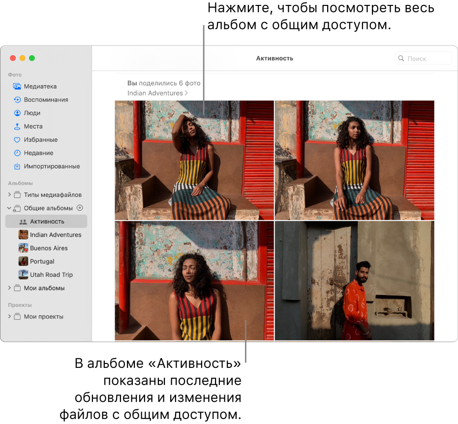 Окно приложения «Фото»: в боковом меню выбран раздел «Активность», справа отображается альбом «Активность».