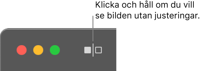 Knappen Utan justeringar bredvid reglagen i det övre vänstra hörnet av fönstret.