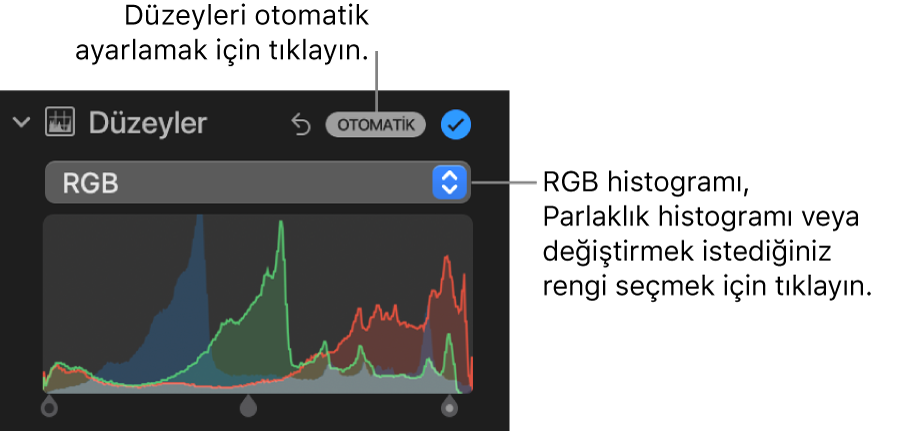 Sağ üstte Otomatik düğmesini ve altta RGB histogramını gösteren Ayarla bölümündeki Düzeyler denetimleri.