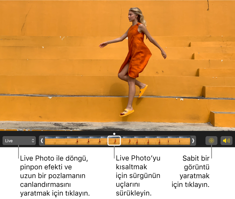 Düzenleme görüntüsünde altında fotoğrafın çerçevelerini gösteren sürgüyle birlikte görünen bir Live Photo. Live Photo düğmesi ve Hoparlör düğmesi sürgünün sol tarafındadır, sağ tarafında ise döngü, pinpon ve uzun pozlama efekti eklemek için kullanabileceğiniz açılır menü bulunur.