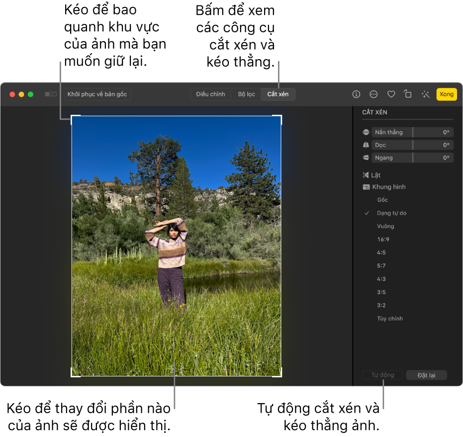 Một ảnh ở chế độ sửa, với Cắt xén được chọn trong thanh công cụ, hình chữ nhật chọn quanh ảnh và thanh trượt nắn thẳng, tùy chọn tỷ lệ khung hình và các nút Tự động và Đặt lại ở bên phải.