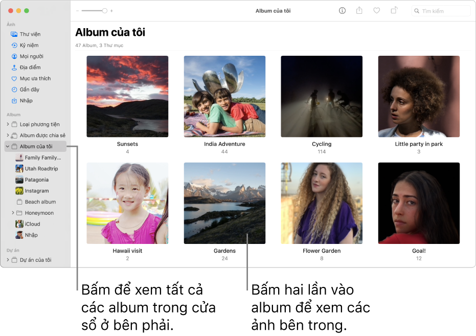 Cửa sổ Ảnh với Album của tôi được chọn trên thanh bên và các album bạn đã tạo được hiển thị trong cửa sổ ở bên phải.