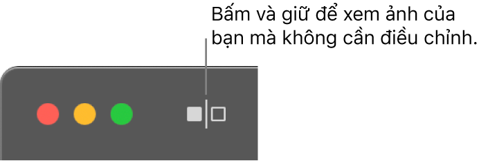 Nút Không có điều chỉnh, bên cạnh các điều khiển cửa sổ ở góc trên cùng bên trái của cửa sổ.