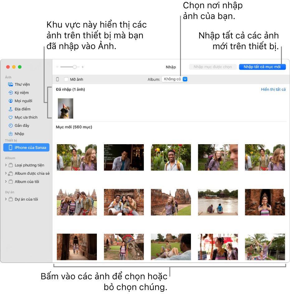 Ảnh trên thiết bị mà bạn đã nhập được hiển thị ở đầu cửa sổ Nhập; ảnh mới nằm ở dưới cùng. Ở chính giữa trên cùng là menu bật lên Album. Nút Nhập tất cả mục mới nằm ở phía trên cùng bên phải.