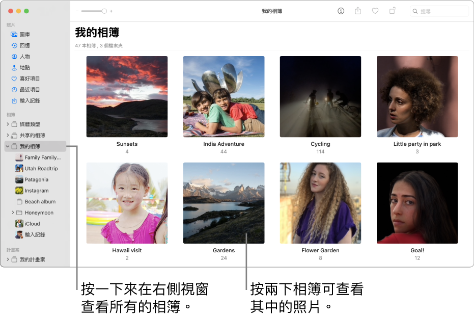「照片」視窗的側邊欄中選取了「我的相簿」，你已製作的相簿會顯示在右側的視窗中。