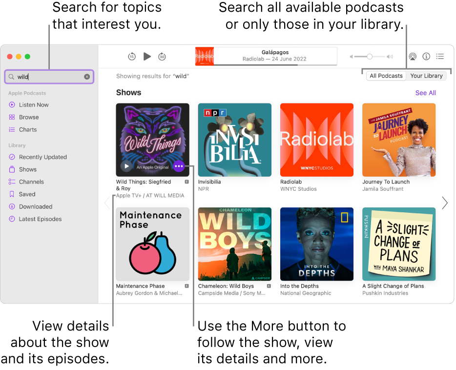 The Podcasts window showing text entered in the search field in the top-left corner, and episodes and shows matching the search of all podcasts in the screen to the right. Click the link below the show to view details about the show and its episodes. Use the show’s More button to follow the show, change its settings and more.