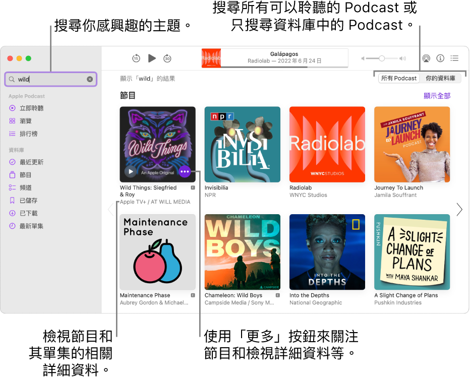 Podcast 視窗顯示在左上角輸入欄位中已輸入的文字，符合 Podcast 搜尋條件的單集和節目在螢幕的右側顯示。按一下節目下方的連結即可檢視節目及其單集的詳細資料。使用節目的「更多」按鈕即可關注節目、更改其設定等等。