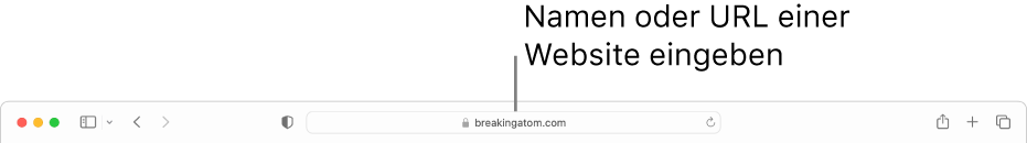 Das intelligente Suchfeld von Safari, in dem du den Namen oder die URL einer Website eingeben kannst.