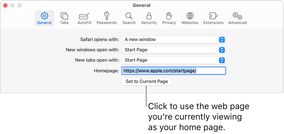 The General pane of Safari settings, with the Homepage field selected.