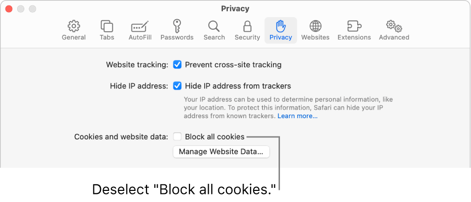The Privacy pane of Safari settings.