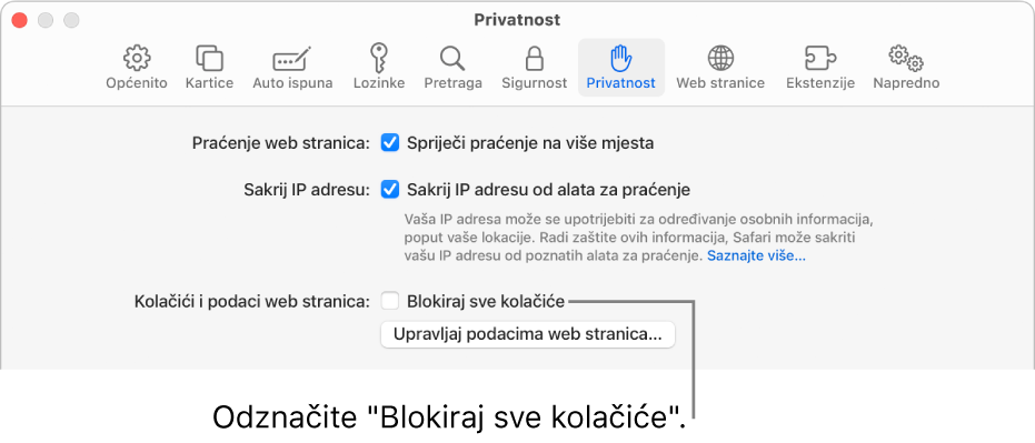 Okno Privatnost u postavkama Safarija.