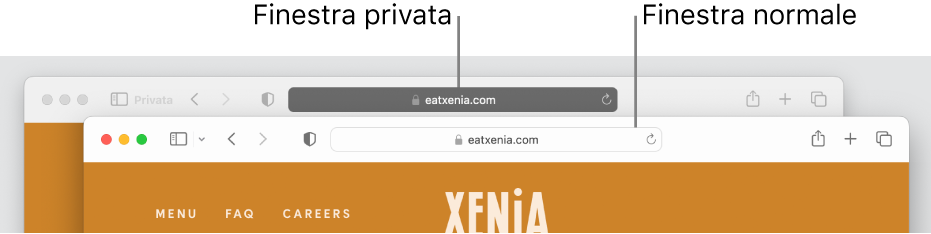Una finestra privata di Safari con il campo di ricerca smart scuro e una finestra normale di Safari con il campo di ricerca smart chiaro.