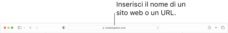 Il campo di ricerca smart di Safari, in cui puoi inserire il nome o l'URL di un sito web.