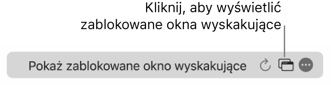 Inteligentne pole wyszukiwania z ikoną umożliwiającą wyświetlenie zablokowanych okien wyskakujących.